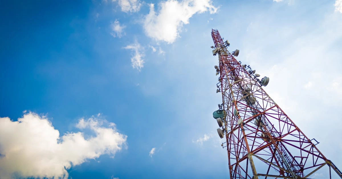 Программы лояльности казино без депозита в маркетинговых стратегиях